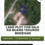 LAND FOR SALE IN KG BUANG TEKUROK, MUKIM LUMAPAS LAND FOR SALE IN KG BUANG TEKUROK, MUKIM LUMAPAS