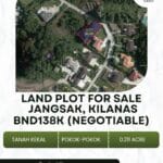LAND FOR SALE IN JANGSAK, KILANAS LAND FOR SALE IN JANGSAK, KILANAS